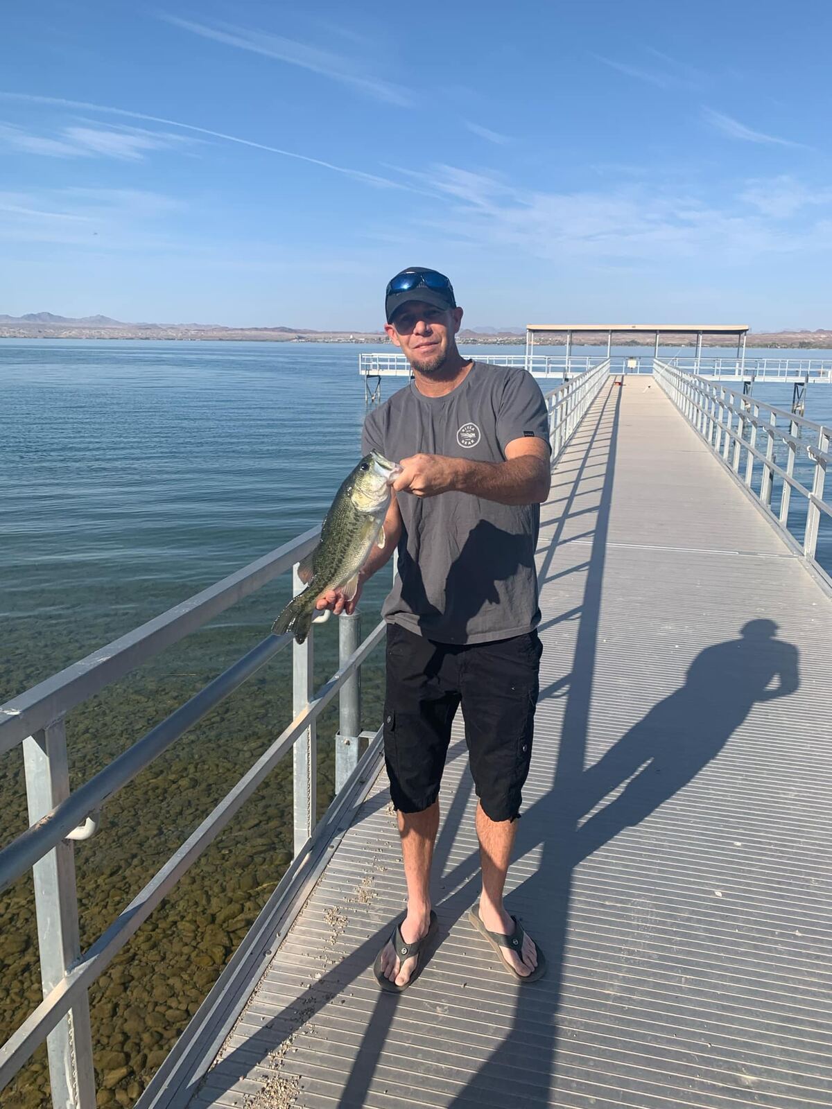 Largemouth bass on the long Havasu pier