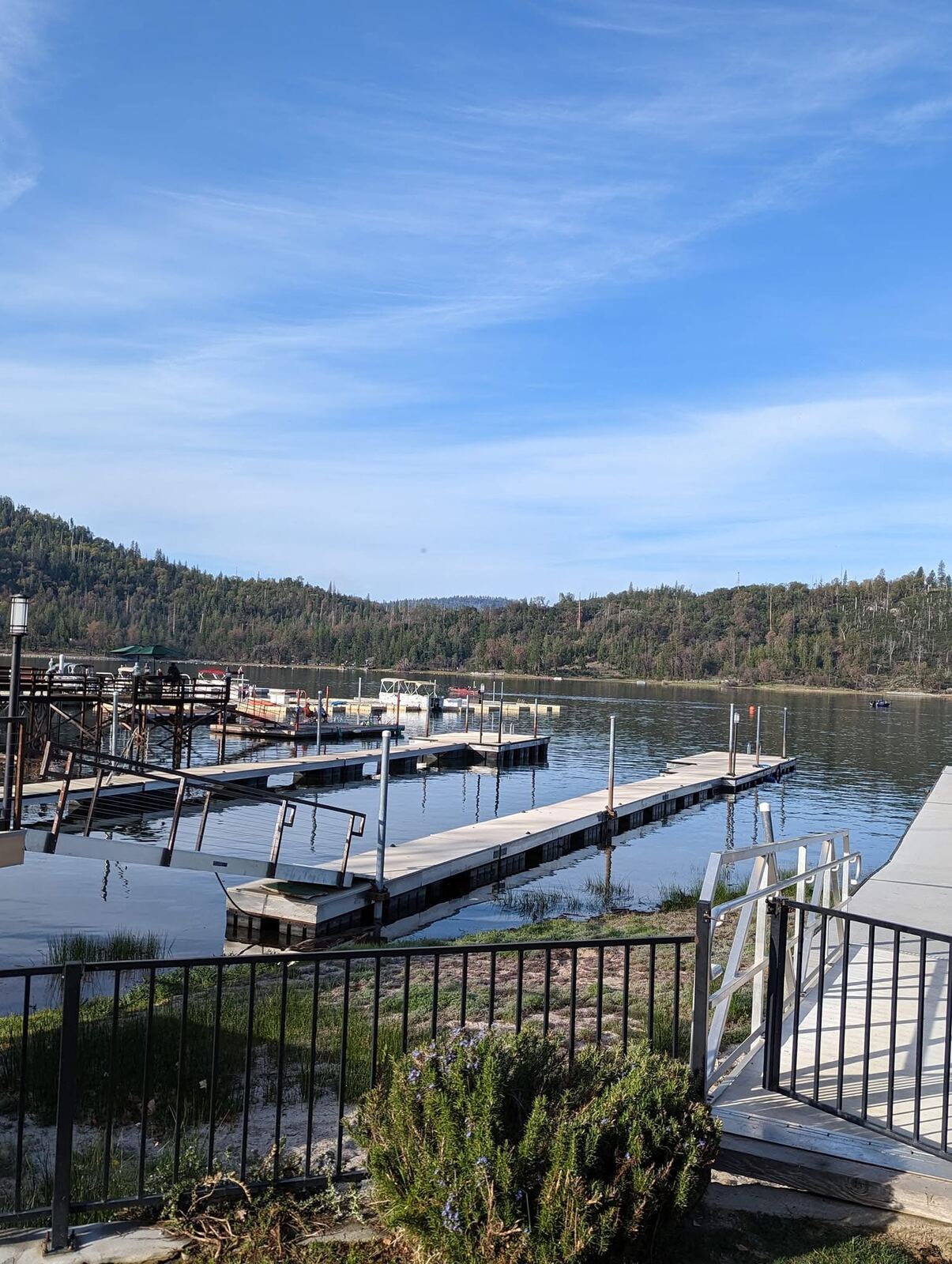 Empty marina docks before the boats wake up — Bass Lake