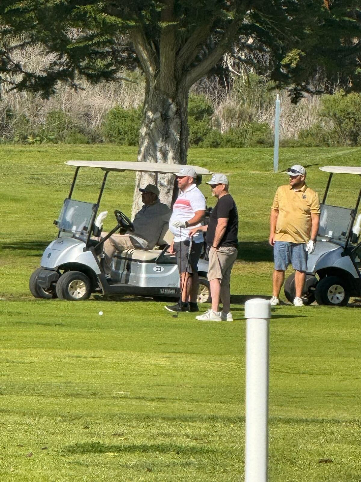 Brothers lining up the next shot on the par 3