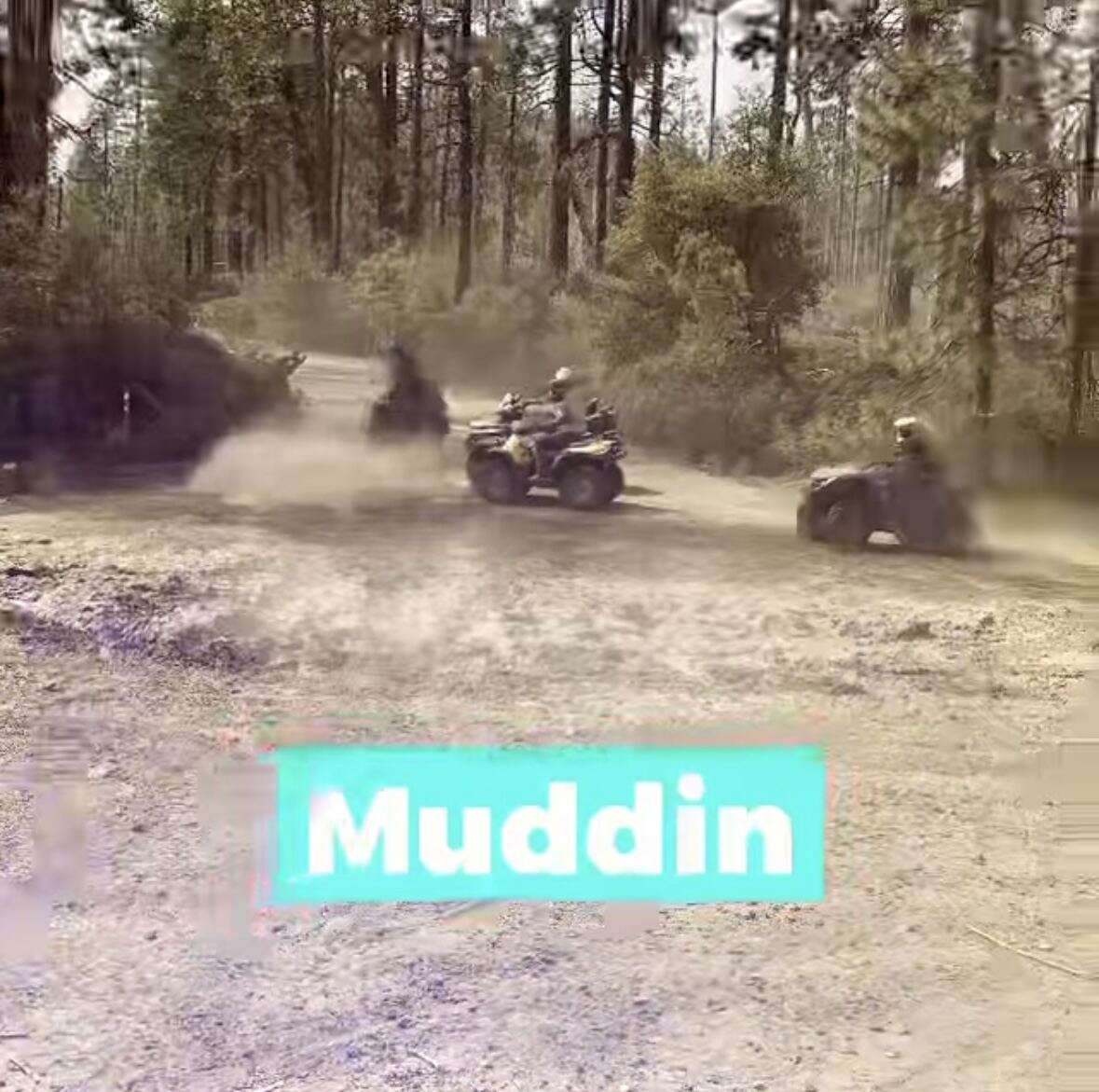 Muddin' through the pines — three quads kicking up a wall of dust