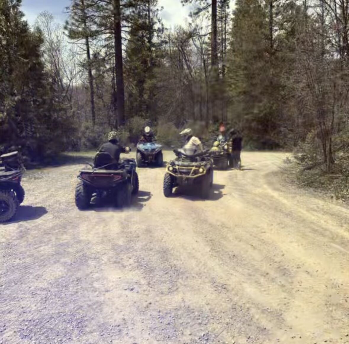 Quads pulled off the trail in the pines, taking a breath before the next stretch