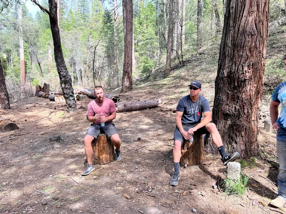 Two seats on the cedar stumps — water break in a sun-cut clearing